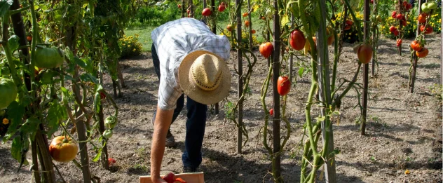 View Performance Data