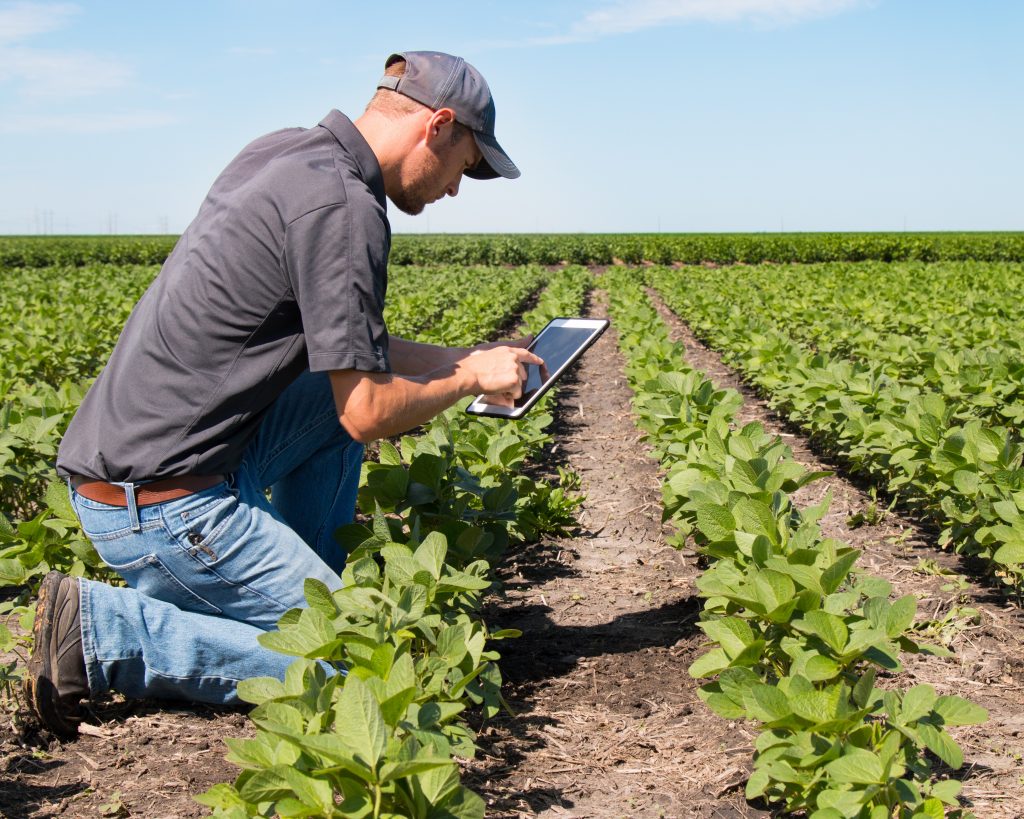 Agronomist Using a Tablet in an Agricultural Field